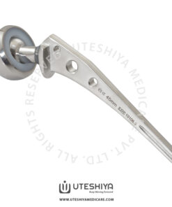 Bipolar Prosthesis Fenestrated Type - Hip Reconstruction