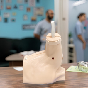 Shoulder Arthroscopy Surgical Training Model