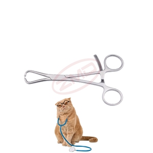 Mini Orthopedic Trauma Instrument Set Pointed Forceps